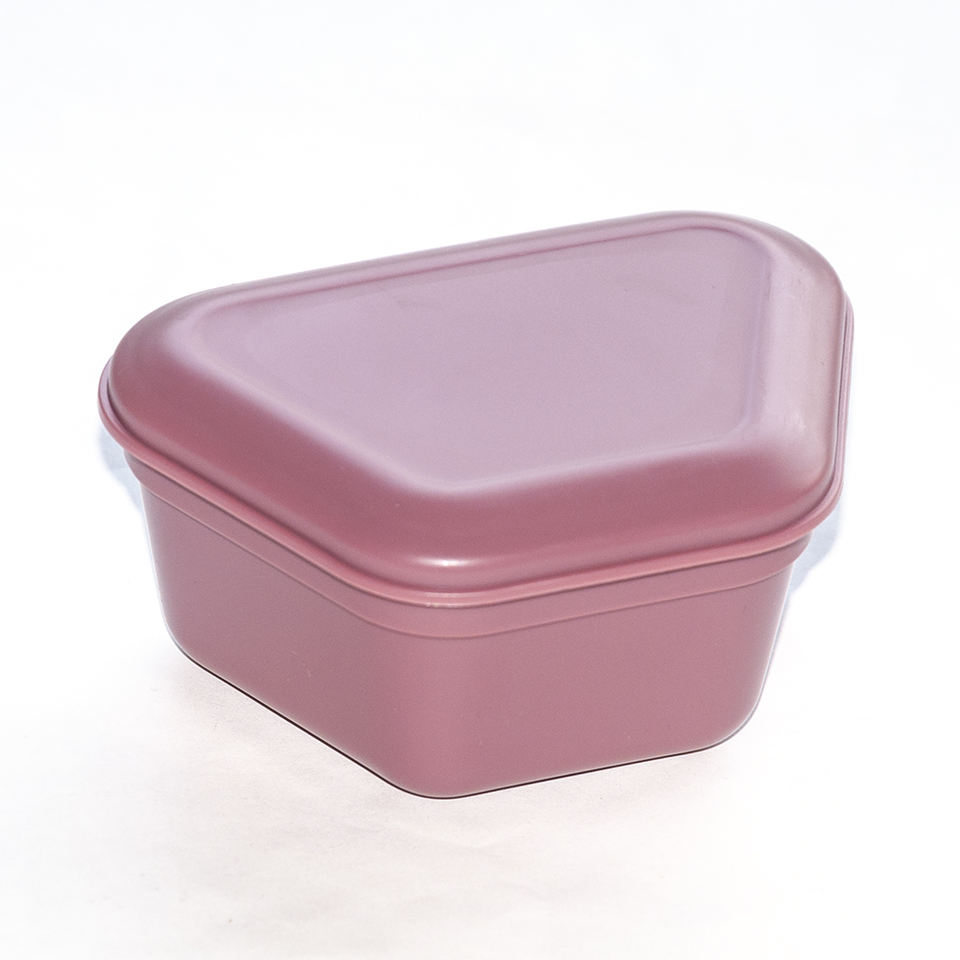 Favourable Price Dental Denture Box 2021 Boxs For Dentures For Sale