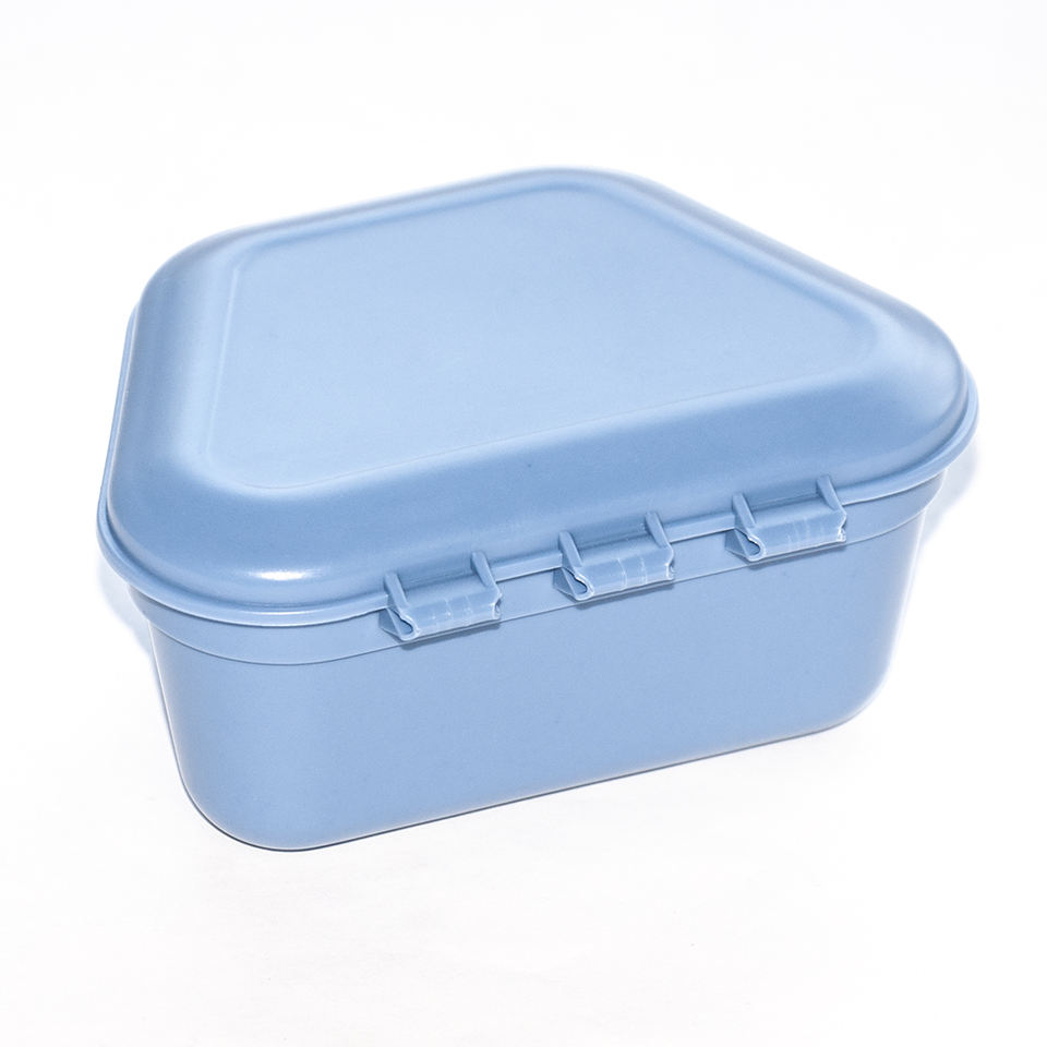 Favourable Price Dental Denture Box 2021 Boxs For Dentures For Sale